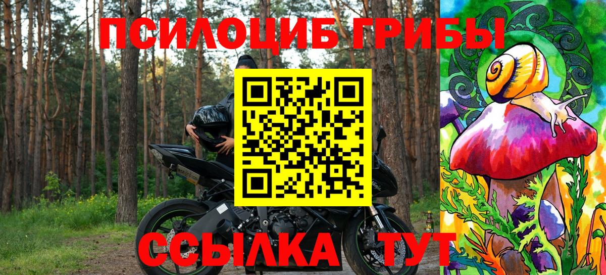 Галлюциногенные грибы Cubensis Лесной