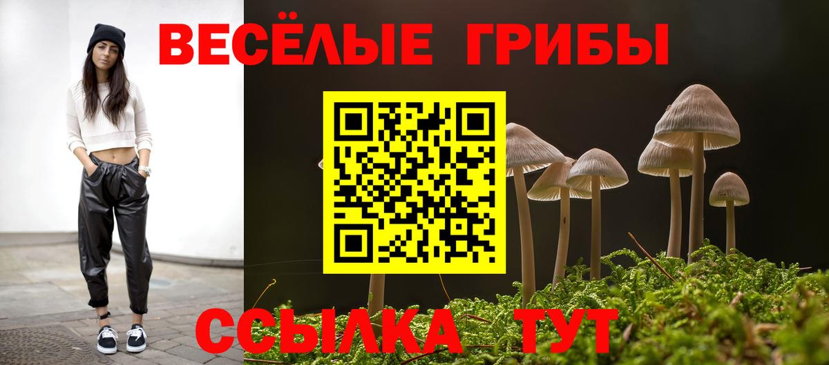 Лесной  продажа наркотиков  Вход с VPN  Галлюциногенные грибы ЛСД 